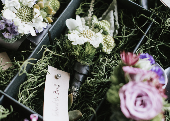 CebolaWedding_3-1